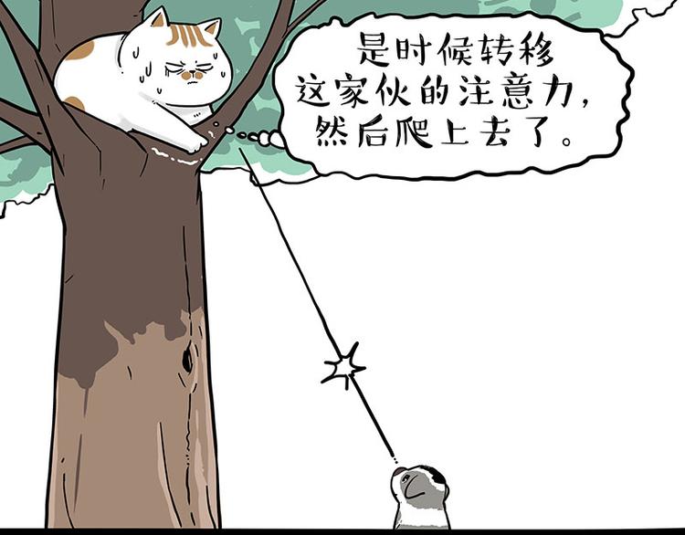 《吾皇巴扎黑》漫画最新章节第270话 胖老猫你个大骗子！免费下拉式在线观看章节第【34】张图片