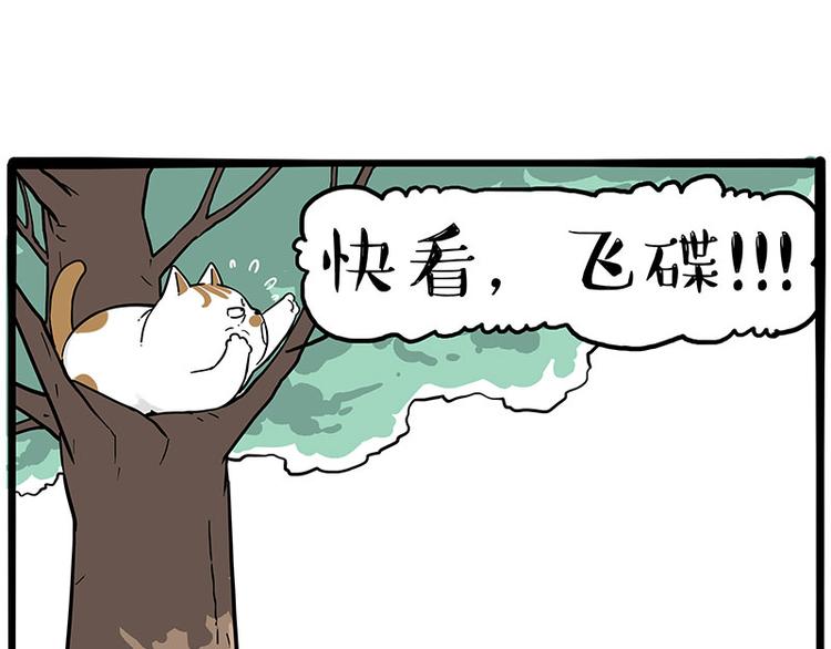 《吾皇巴扎黑》漫画最新章节第270话 胖老猫你个大骗子！免费下拉式在线观看章节第【36】张图片