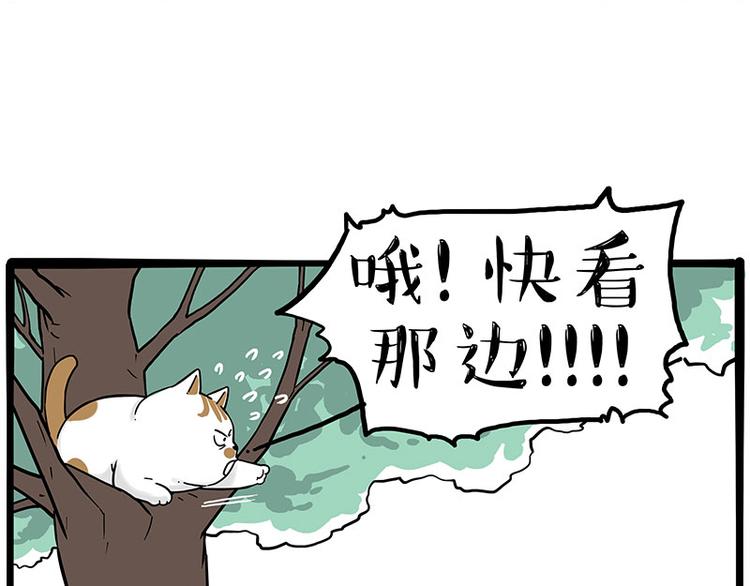 《吾皇巴扎黑》漫画最新章节第270话 胖老猫你个大骗子！免费下拉式在线观看章节第【39】张图片