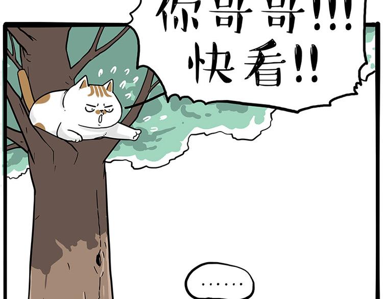 《吾皇巴扎黑》漫画最新章节第270话 胖老猫你个大骗子！免费下拉式在线观看章节第【41】张图片