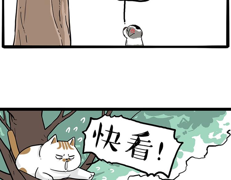 《吾皇巴扎黑》漫画最新章节第270话 胖老猫你个大骗子！免费下拉式在线观看章节第【42】张图片