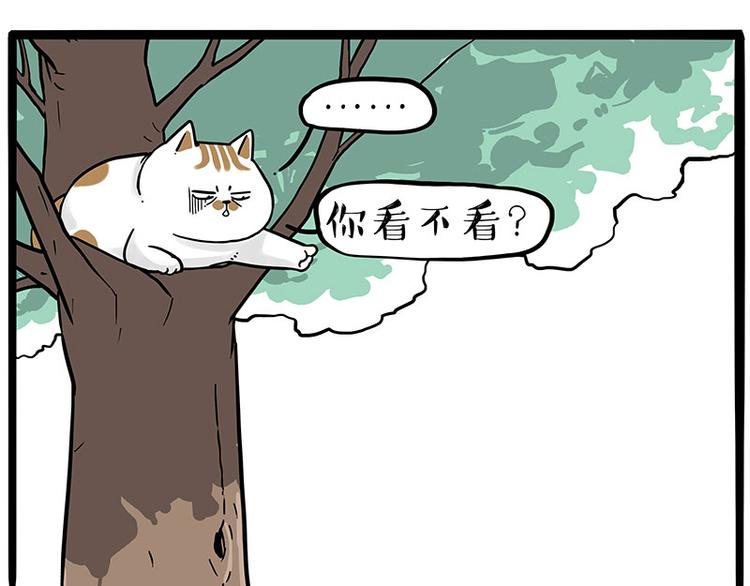 《吾皇巴扎黑》漫画最新章节第270话 胖老猫你个大骗子！免费下拉式在线观看章节第【52】张图片