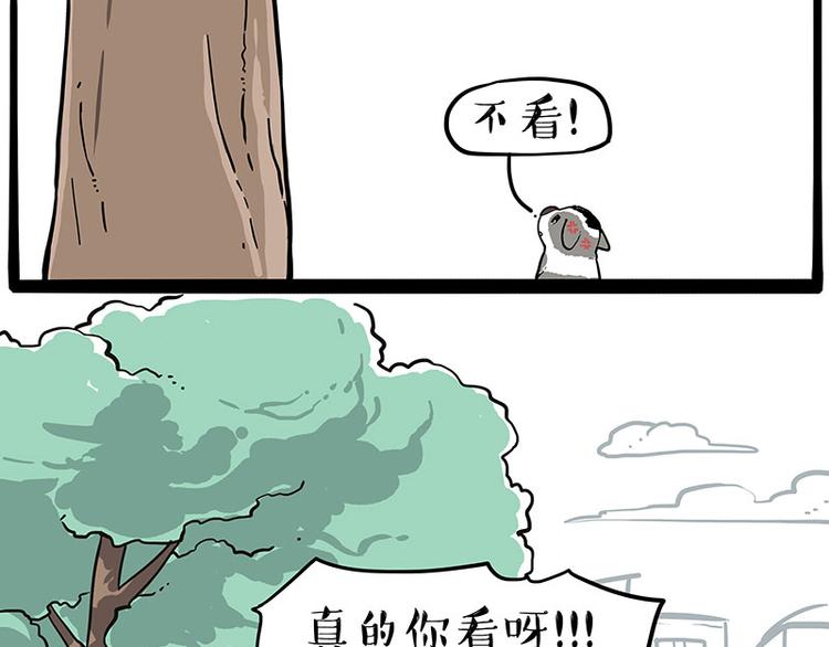 《吾皇巴扎黑》漫画最新章节第270话 胖老猫你个大骗子！免费下拉式在线观看章节第【53】张图片