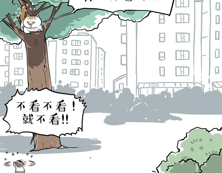 《吾皇巴扎黑》漫画最新章节第270话 胖老猫你个大骗子！免费下拉式在线观看章节第【54】张图片