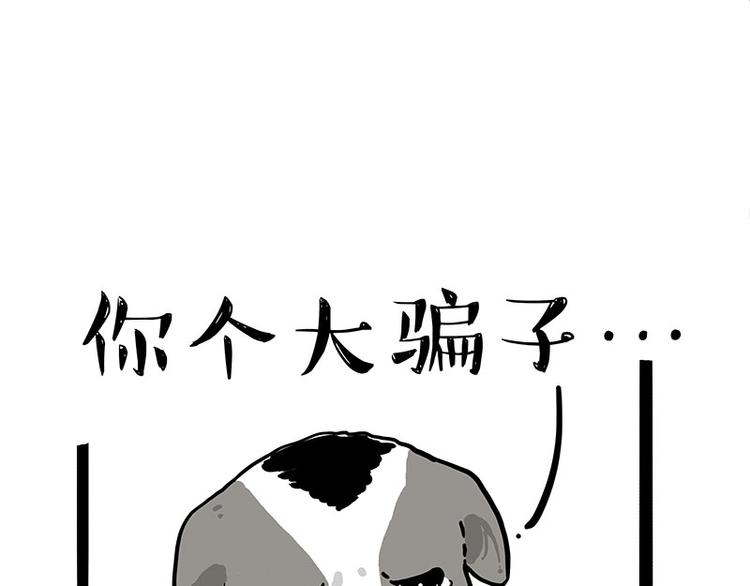 《吾皇巴扎黑》漫画最新章节第270话 胖老猫你个大骗子！免费下拉式在线观看章节第【60】张图片