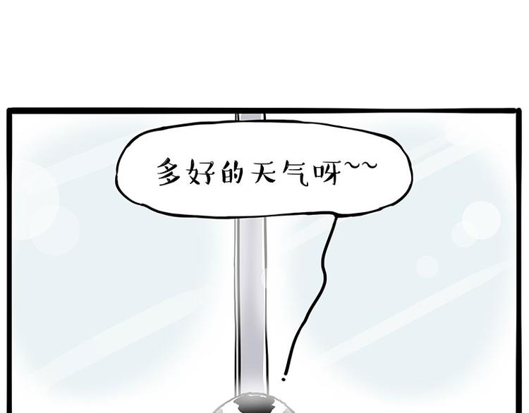 《吾皇巴扎黑》漫画最新章节第270话 胖老猫你个大骗子！免费下拉式在线观看章节第【8】张图片