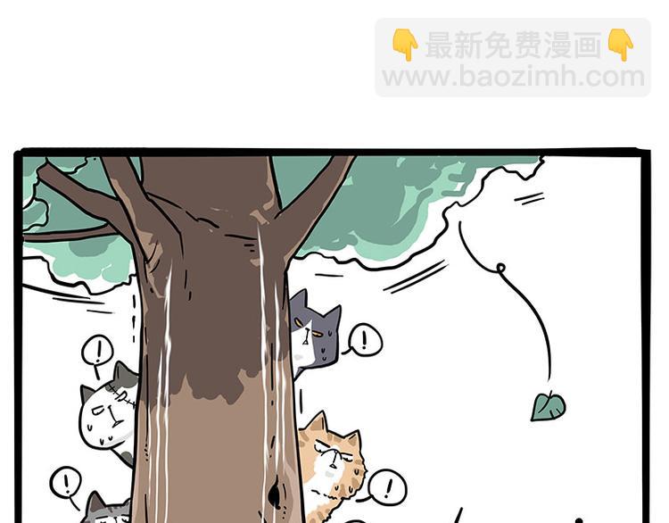 《吾皇巴扎黑》漫画最新章节第271话 进击的流浪猫！免费下拉式在线观看章节第【11】张图片