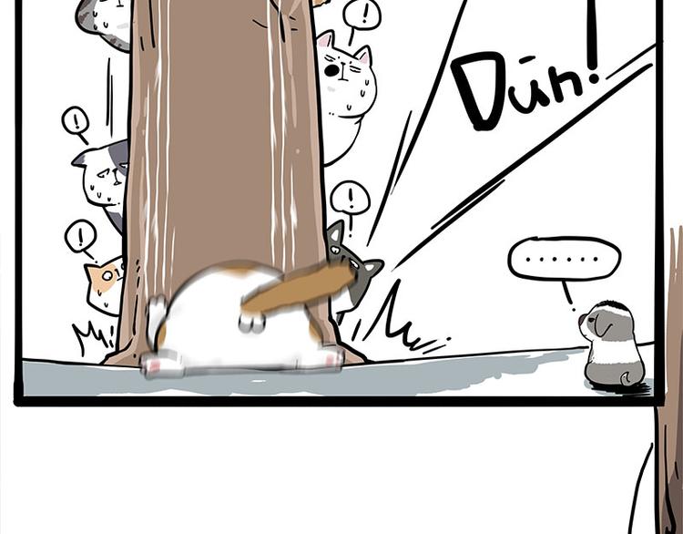 《吾皇巴扎黑》漫画最新章节第271话 进击的流浪猫！免费下拉式在线观看章节第【12】张图片