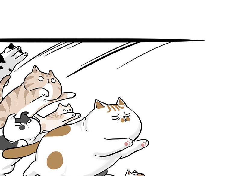 《吾皇巴扎黑》漫画最新章节第271话 进击的流浪猫！免费下拉式在线观看章节第【17】张图片
