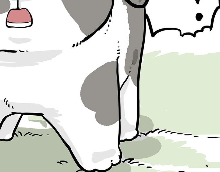 《吾皇巴扎黑》漫画最新章节第271话 进击的流浪猫！免费下拉式在线观看章节第【29】张图片
