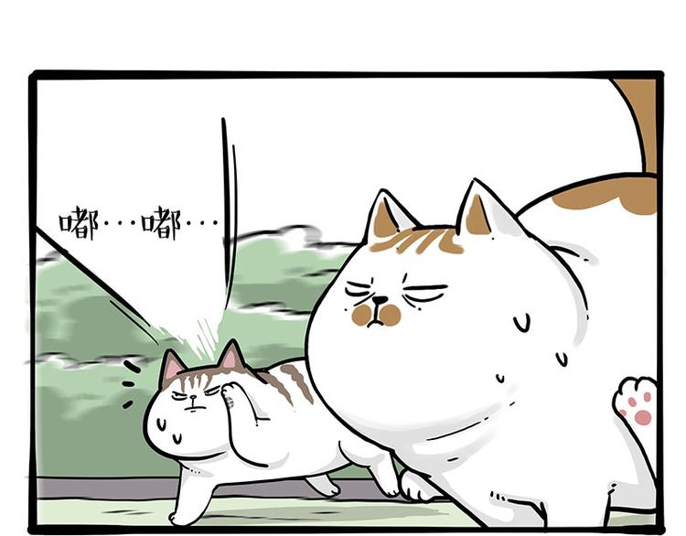 《吾皇巴扎黑》漫画最新章节第271话 进击的流浪猫！免费下拉式在线观看章节第【42】张图片