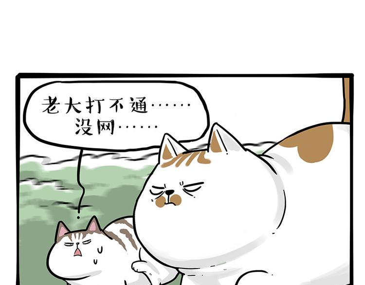 《吾皇巴扎黑》漫画最新章节第271话 进击的流浪猫！免费下拉式在线观看章节第【43】张图片