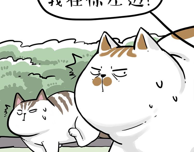 《吾皇巴扎黑》漫画最新章节第271话 进击的流浪猫！免费下拉式在线观看章节第【46】张图片