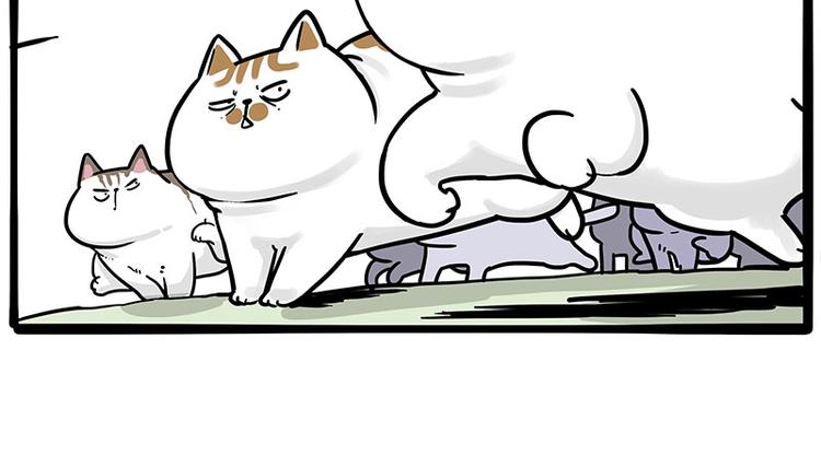 《吾皇巴扎黑》漫画最新章节第271话 进击的流浪猫！免费下拉式在线观看章节第【51】张图片