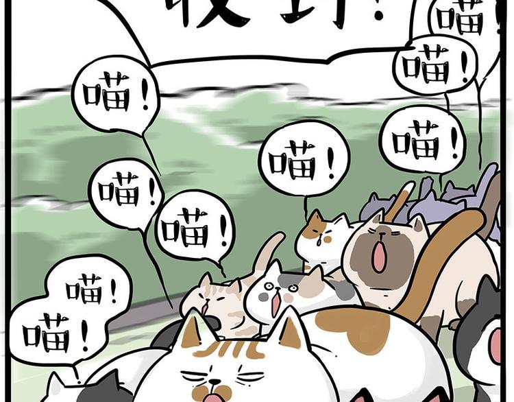 《吾皇巴扎黑》漫画最新章节第271话 进击的流浪猫！免费下拉式在线观看章节第【56】张图片