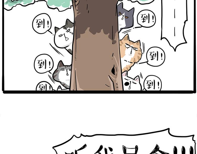 《吾皇巴扎黑》漫画最新章节第271话 进击的流浪猫！免费下拉式在线观看章节第【7】张图片