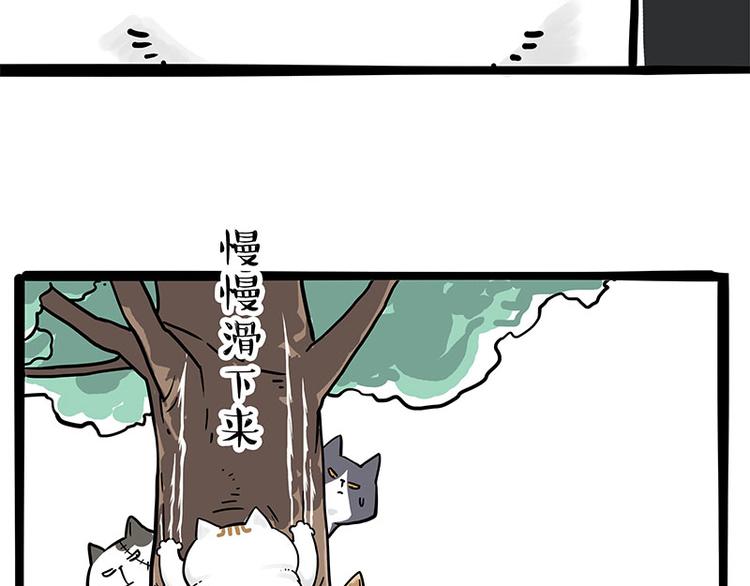 《吾皇巴扎黑》漫画最新章节第271话 进击的流浪猫！免费下拉式在线观看章节第【9】张图片