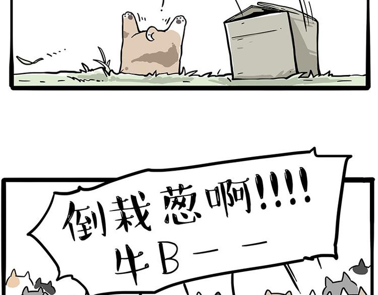 《吾皇巴扎黑》漫画最新章节第272话 一定会再见免费下拉式在线观看章节第【36】张图片