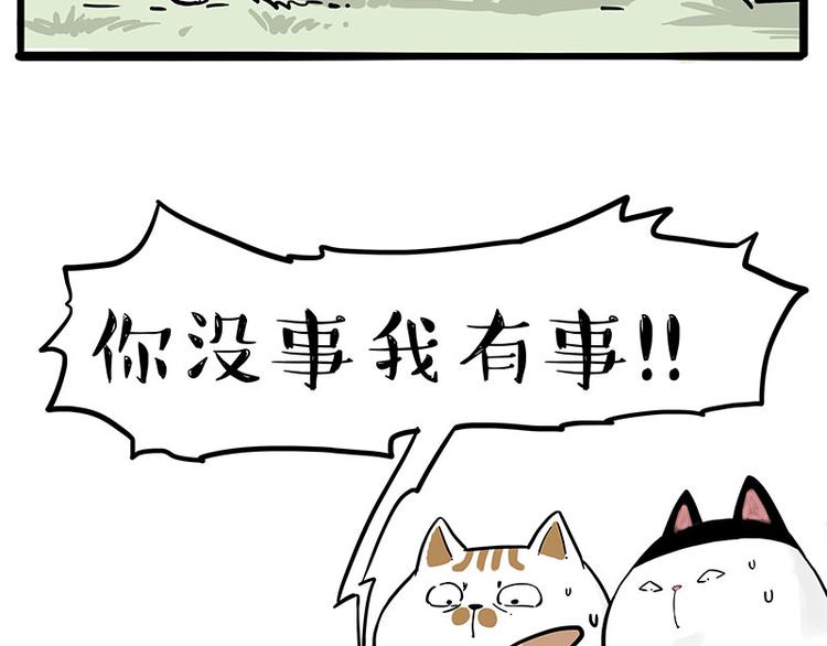 《吾皇巴扎黑》漫画最新章节第272话 一定会再见免费下拉式在线观看章节第【44】张图片