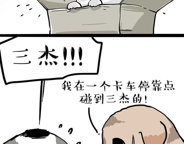 《吾皇巴扎黑》漫画最新章节第272话 一定会再见免费下拉式在线观看章节第【50】张图片