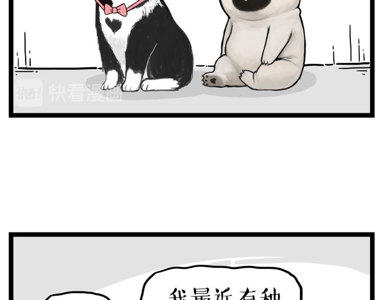 《吾皇巴扎黑》漫画最新章节第273话 虾仁猪心免费下拉式在线观看章节第【34】张图片