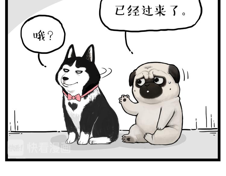 《吾皇巴扎黑》漫画最新章节第273话 虾仁猪心免费下拉式在线观看章节第【41】张图片