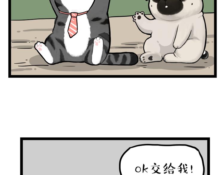 《吾皇巴扎黑》漫画最新章节第274话 6吨快递！免费下拉式在线观看章节第【51】张图片