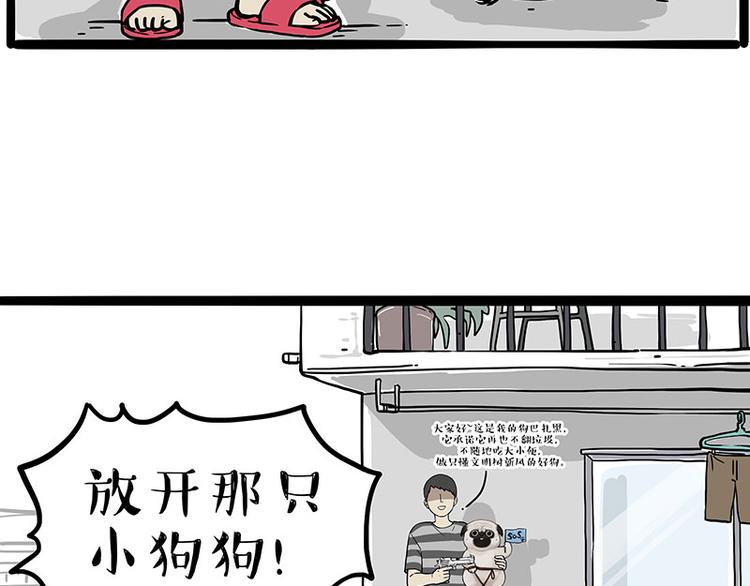 《吾皇巴扎黑》漫画最新章节第276话 高考逆袭免费下拉式在线观看章节第【27】张图片