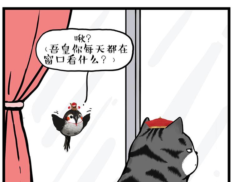 《吾皇巴扎黑》漫画最新章节第277话 猫斗猫免费下拉式在线观看章节第【1】张图片