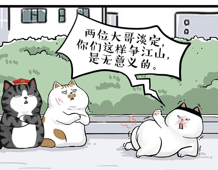 《吾皇巴扎黑》漫画最新章节第277话 猫斗猫免费下拉式在线观看章节第【11】张图片