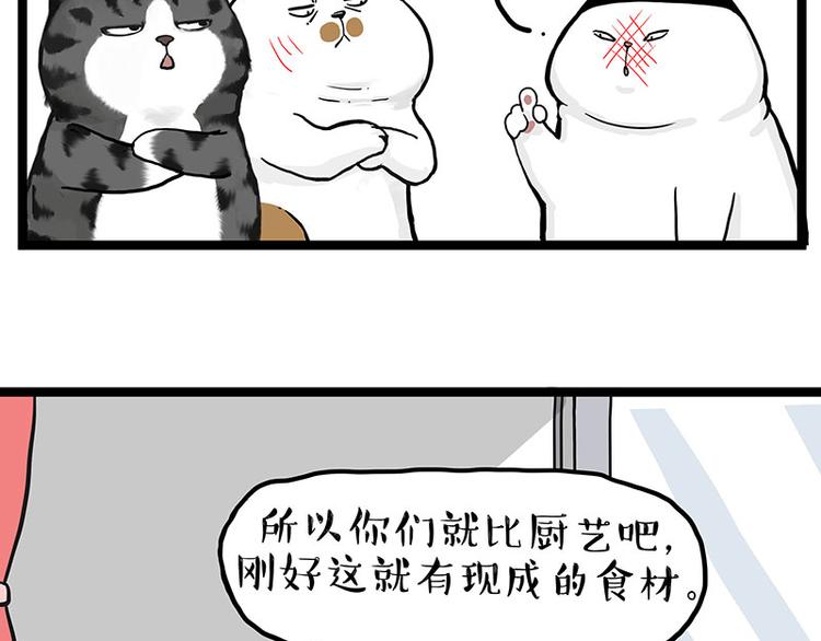 《吾皇巴扎黑》漫画最新章节第277话 猫斗猫免费下拉式在线观看章节第【13】张图片