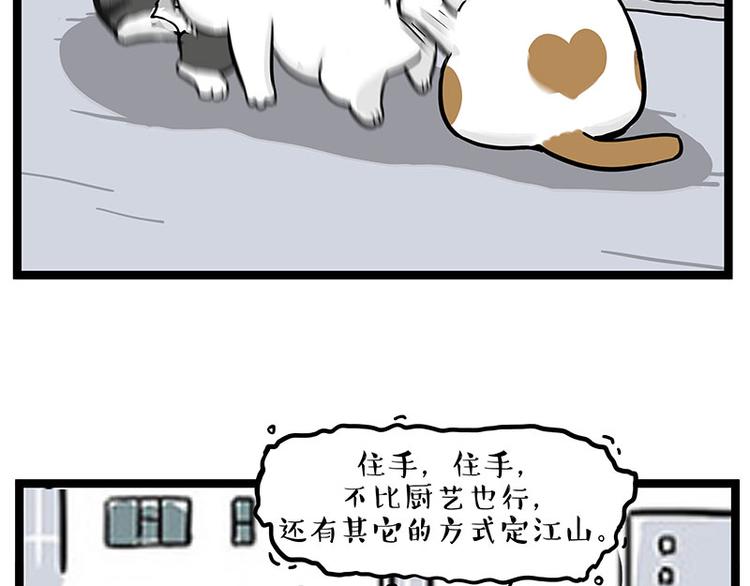 《吾皇巴扎黑》漫画最新章节第277话 猫斗猫免费下拉式在线观看章节第【16】张图片