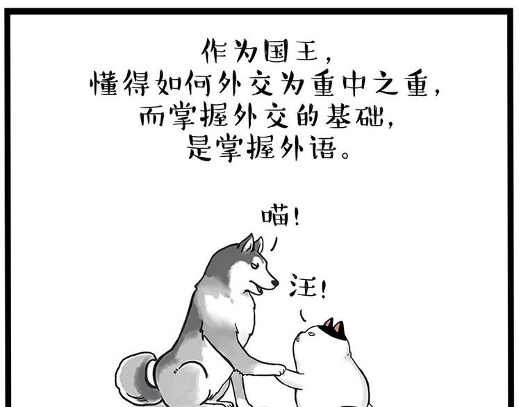 《吾皇巴扎黑》漫画最新章节第277话 猫斗猫免费下拉式在线观看章节第【18】张图片