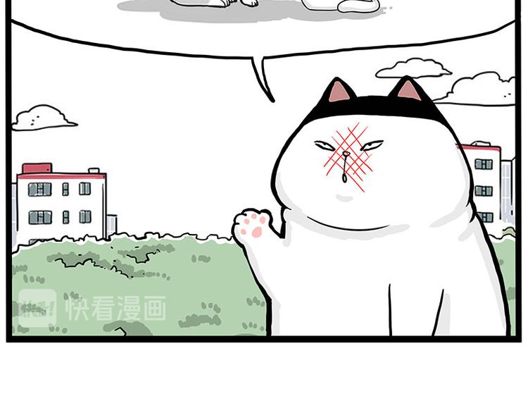 《吾皇巴扎黑》漫画最新章节第277话 猫斗猫免费下拉式在线观看章节第【19】张图片