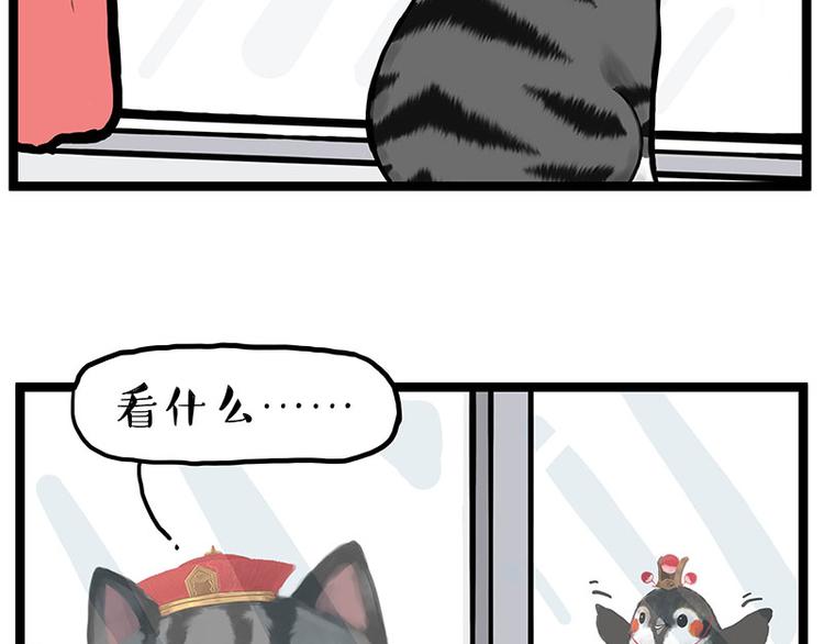 《吾皇巴扎黑》漫画最新章节第277话 猫斗猫免费下拉式在线观看章节第【2】张图片