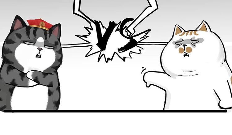 《吾皇巴扎黑》漫画最新章节第277话 猫斗猫免费下拉式在线观看章节第【21】张图片