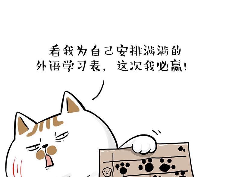 《吾皇巴扎黑》漫画最新章节第277话 猫斗猫免费下拉式在线观看章节第【22】张图片