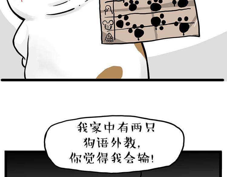 《吾皇巴扎黑》漫画最新章节第277话 猫斗猫免费下拉式在线观看章节第【23】张图片