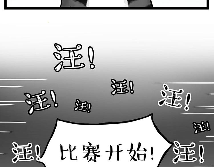 《吾皇巴扎黑》漫画最新章节第277话 猫斗猫免费下拉式在线观看章节第【25】张图片