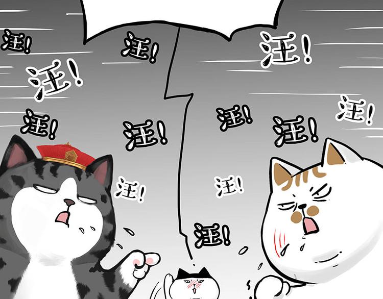 《吾皇巴扎黑》漫画最新章节第277话 猫斗猫免费下拉式在线观看章节第【26】张图片