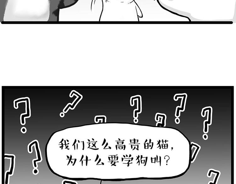 《吾皇巴扎黑》漫画最新章节第277话 猫斗猫免费下拉式在线观看章节第【27】张图片