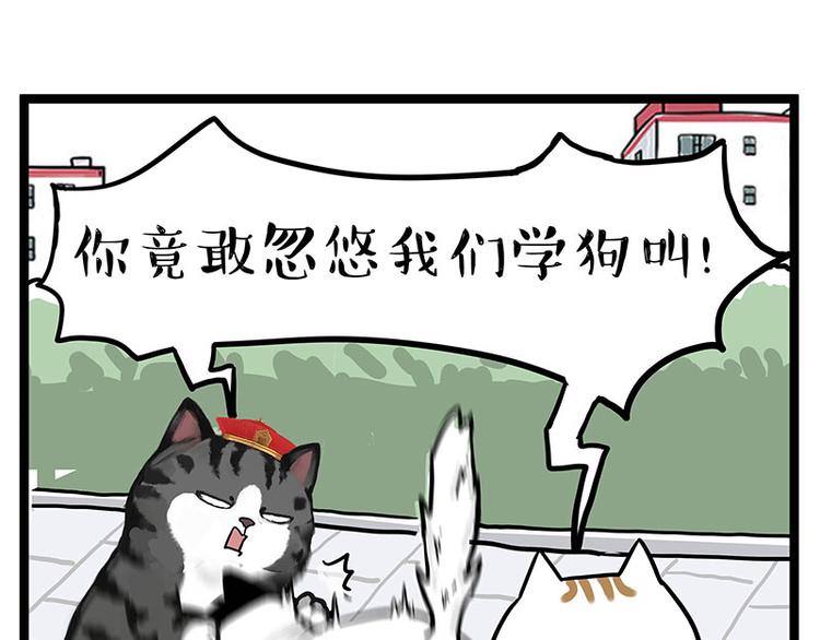 《吾皇巴扎黑》漫画最新章节第277话 猫斗猫免费下拉式在线观看章节第【29】张图片