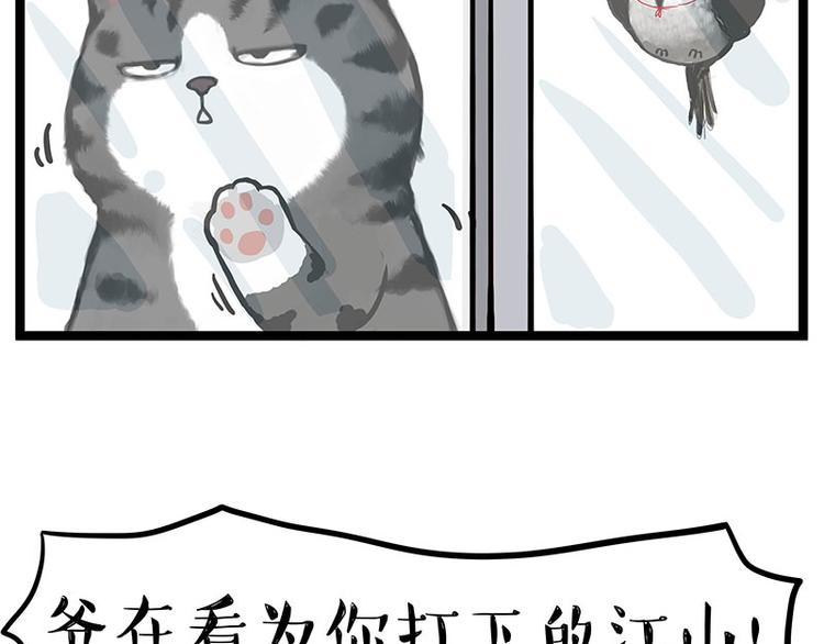 《吾皇巴扎黑》漫画最新章节第277话 猫斗猫免费下拉式在线观看章节第【3】张图片