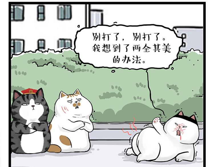 《吾皇巴扎黑》漫画最新章节第277话 猫斗猫免费下拉式在线观看章节第【31】张图片
