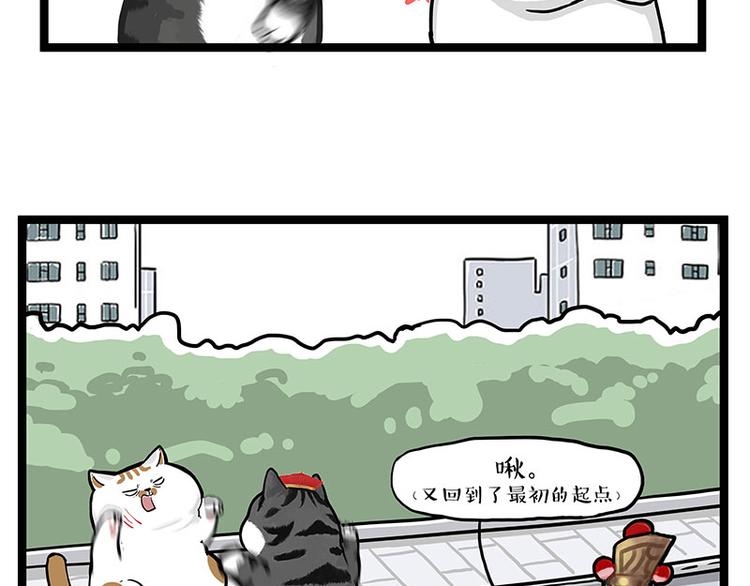 《吾皇巴扎黑》漫画最新章节第277话 猫斗猫免费下拉式在线观看章节第【35】张图片