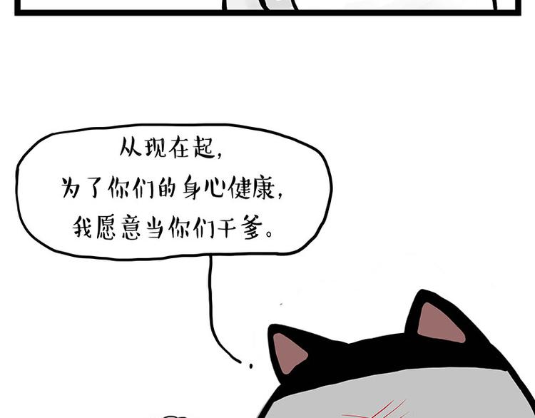 《吾皇巴扎黑》漫画最新章节第277话 猫斗猫免费下拉式在线观看章节第【38】张图片