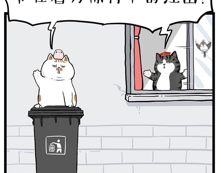 《吾皇巴扎黑》漫画最新章节第277话 猫斗猫免费下拉式在线观看章节第【4】张图片