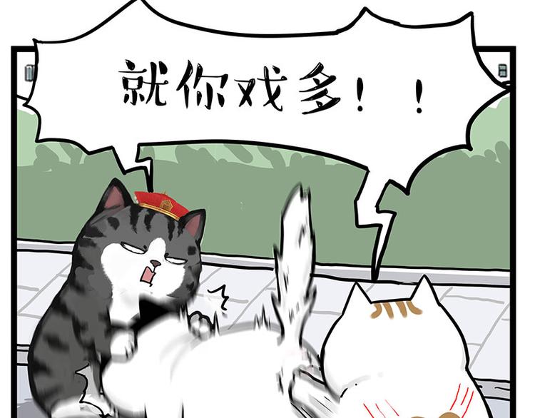 《吾皇巴扎黑》漫画最新章节第277话 猫斗猫免费下拉式在线观看章节第【40】张图片