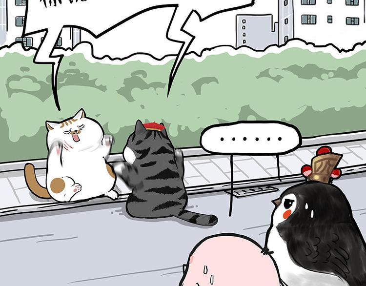 《吾皇巴扎黑》漫画最新章节第277话 猫斗猫免费下拉式在线观看章节第【7】张图片