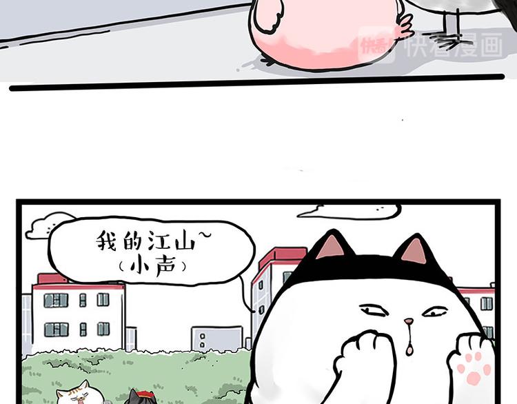 《吾皇巴扎黑》漫画最新章节第277话 猫斗猫免费下拉式在线观看章节第【8】张图片